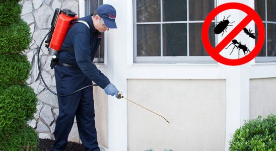 Konyaaltı Böcek ve Haşere İlaçlama böcek ilaçlama ve haşere kontrolü — ilaclama-tr.com